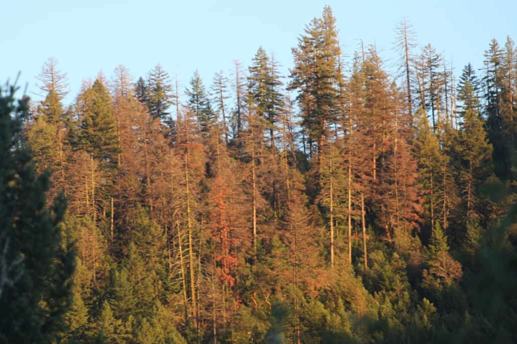 Reducing Fossil Fuel Emissions in Ashland