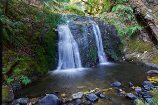 OUTDOORS NOTEBOOK: Williams group lobbies to conserve 320 acres