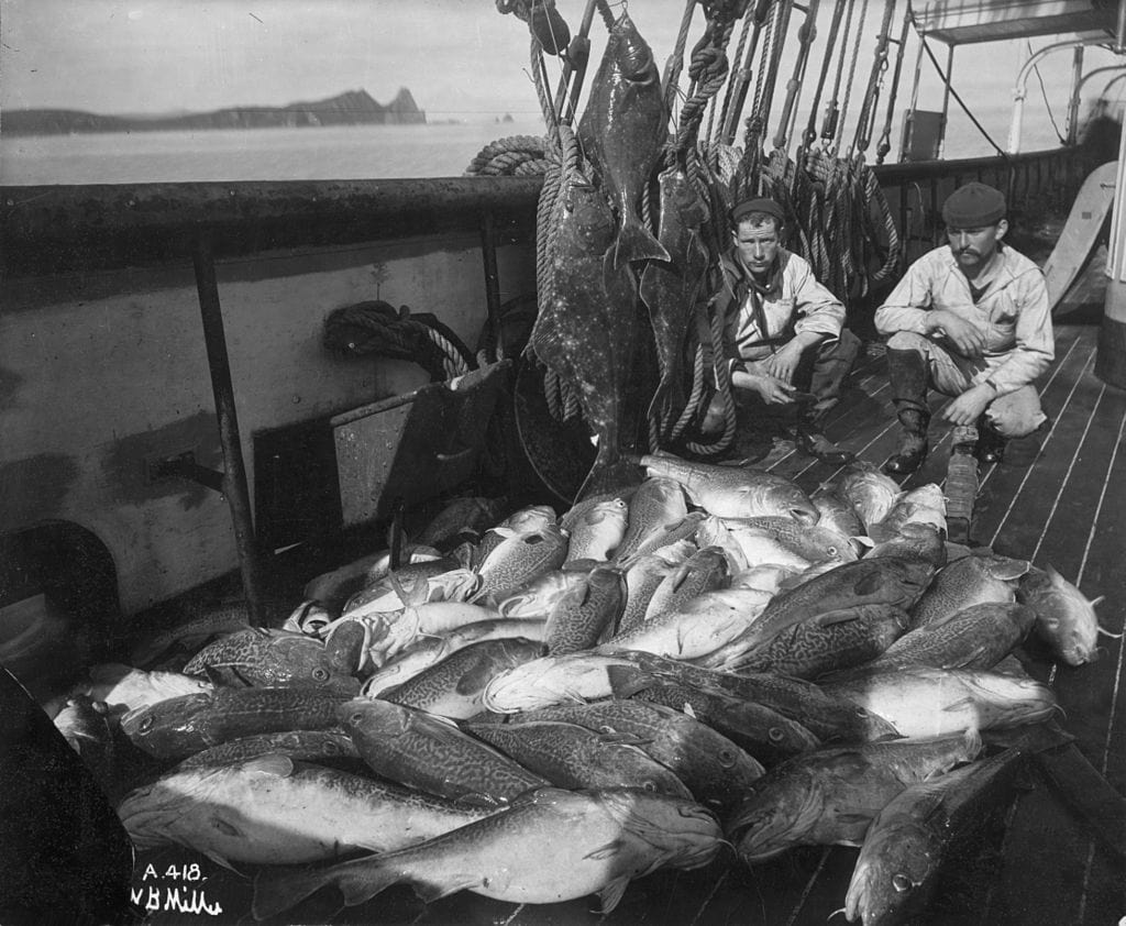 1024px-Commercial_fishing black and white photograph of commercial fishermen