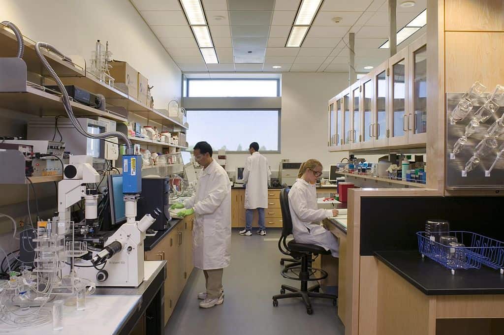 1024px-Biomedical_Engineering_Laboratory biomedical engineering in a lab setting